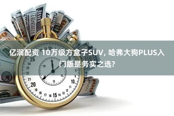 亿润配资 10万级方盒子SUV, 哈弗大狗PLUS入门版是务实之选?