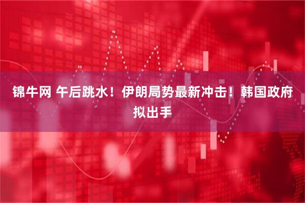 锦牛网 午后跳水！伊朗局势最新冲击！韩国政府拟出手