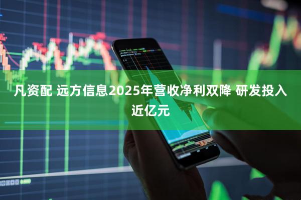 凡资配 远方信息2025年营收净利双降 研发投入近亿元